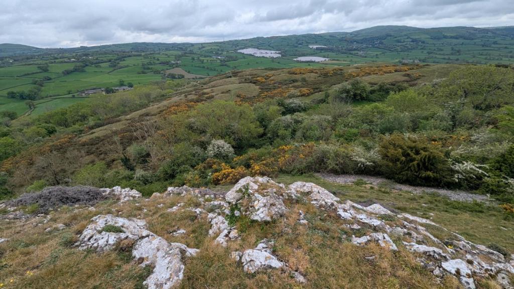 A panoramic view of lush green hills and fields under a cloudy sky, with a rocky foreground and patches of blooming vegetation.