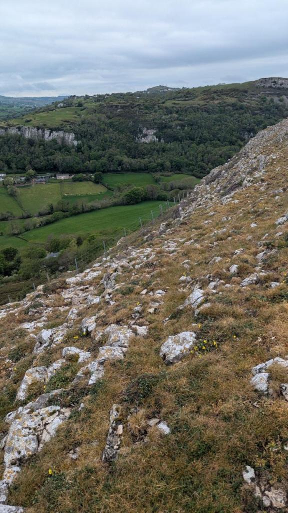 A rocky hillside with patches of grass and scattered wildflowers, overlooking a lush green valley and wooded hills under a cloudy sky.
