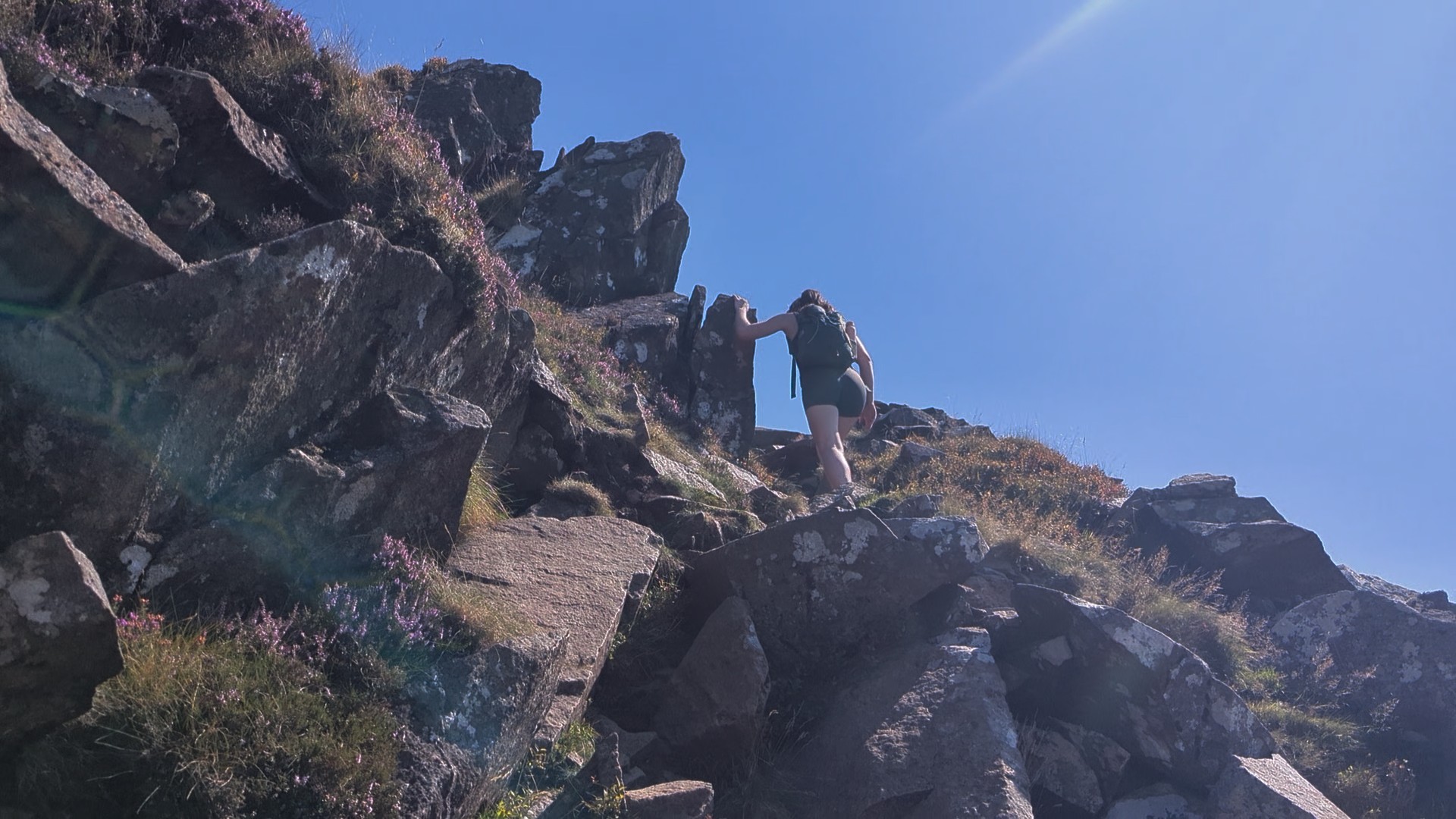 A hiker climbing a rocky trail under a clear blue sky, surrounded by grass and purple heather.
